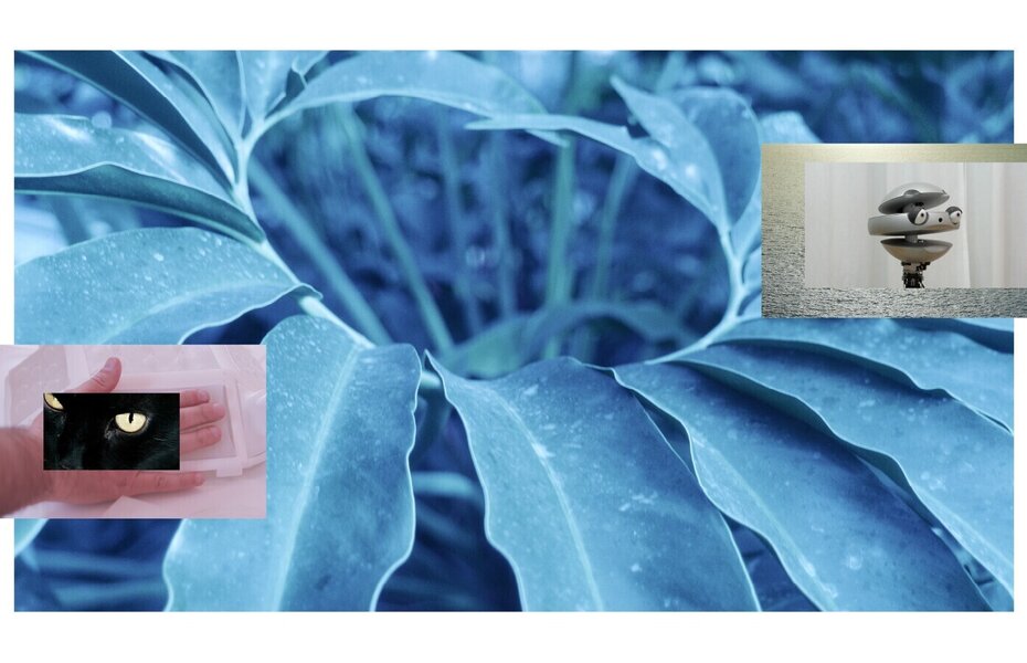 banner_2500x900px_1_2500_2500