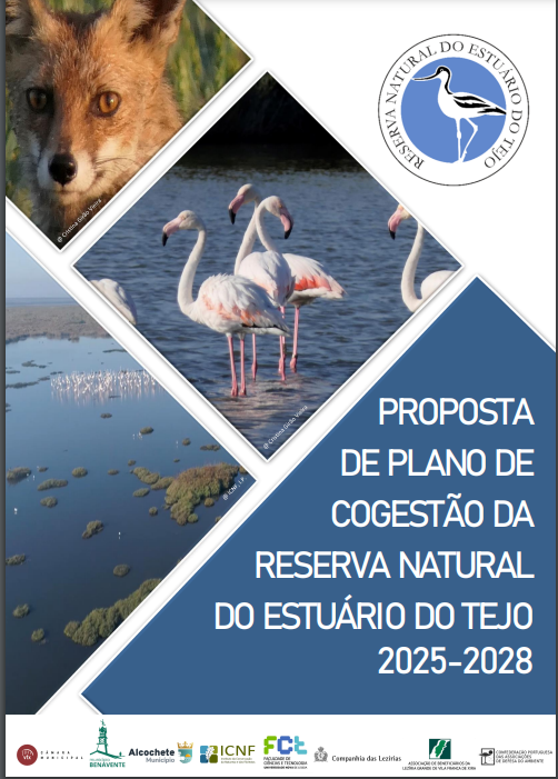 Plano de Cogestão da Reserva Natural do Estuário do Tejo em consulta pública