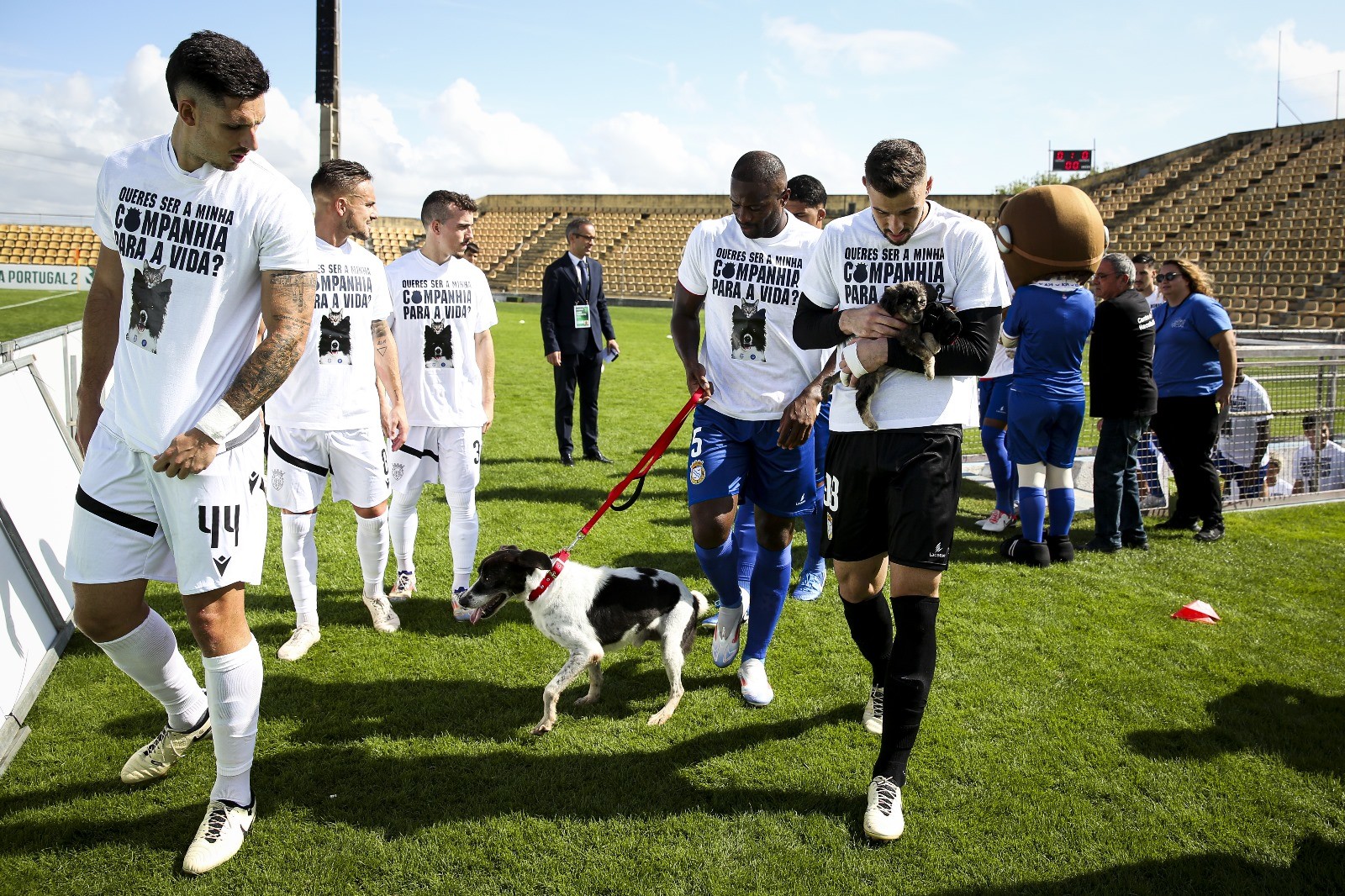 FC Alverca promove adoção de animais