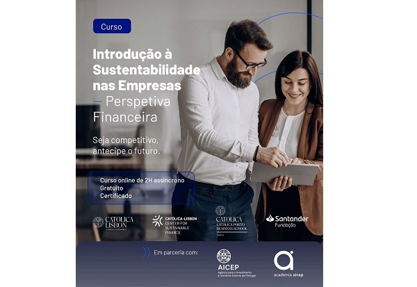 Introdução à Sustentabilidade nas Empresas, Perspetiva Financeira 