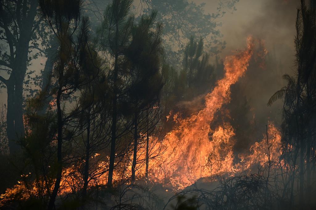 Vila Franca de Xira já tem Programa Municipal de Execução de Gestão Integrada de Fogos Rurais